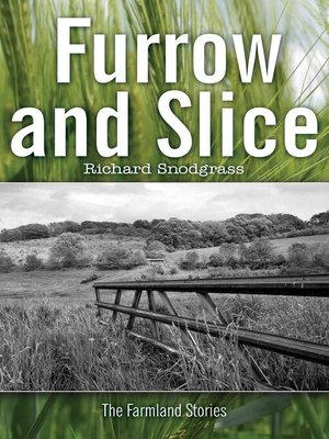 cover image of Furrow and Slice